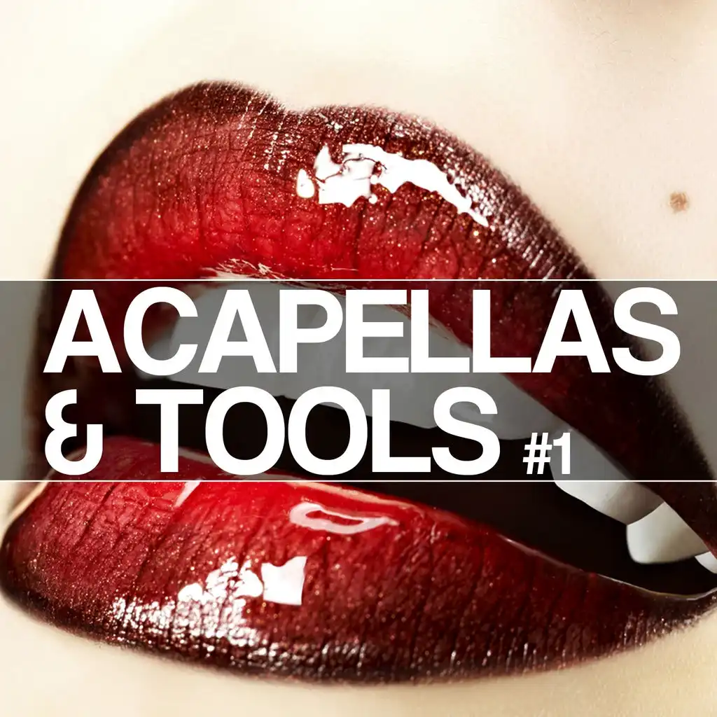 Music Is the Answer 2011 (Acappella Tool) [feat. Vincent Parker]