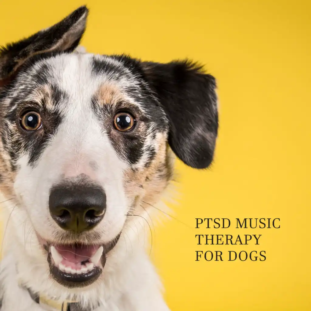 PTSD Music Therapy for Dogs: Trauma Recovery, Relieve Stress & Music for Relax