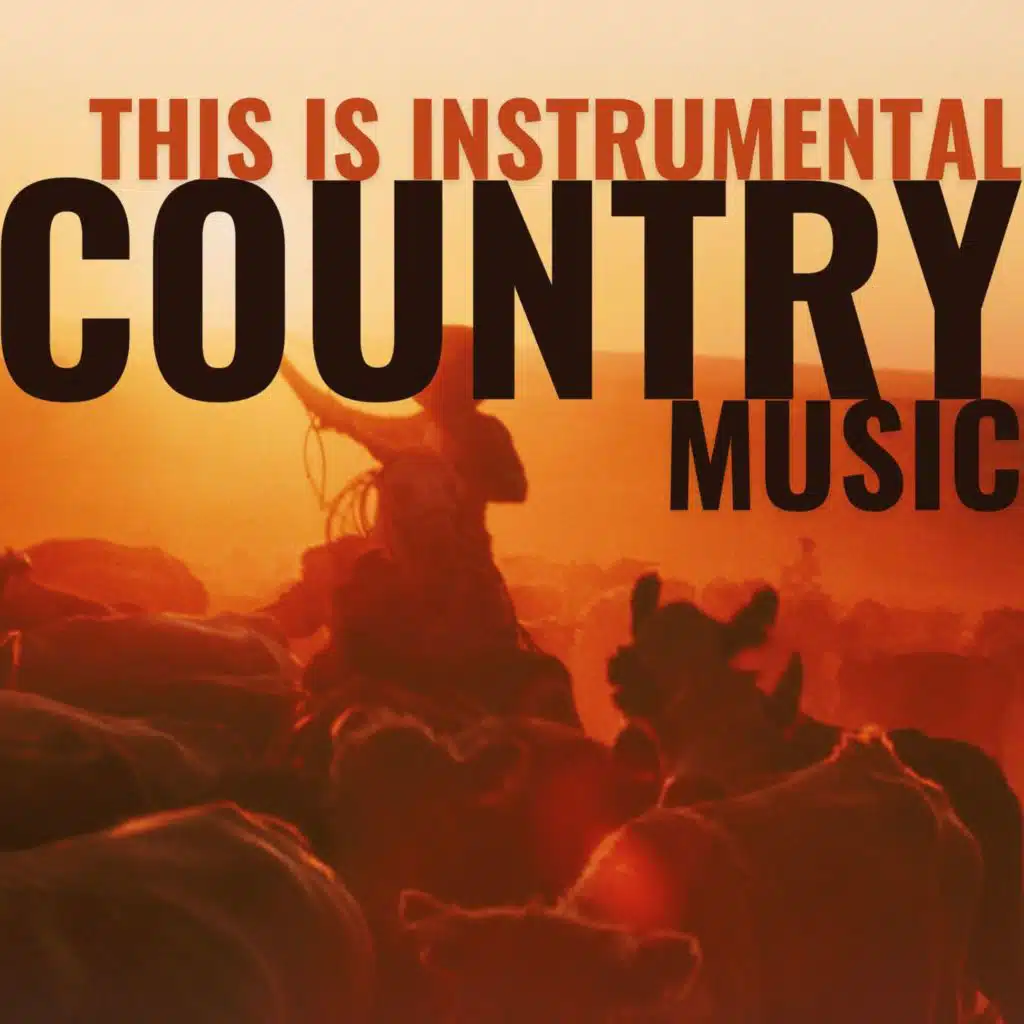This Is Instrumental Country Music