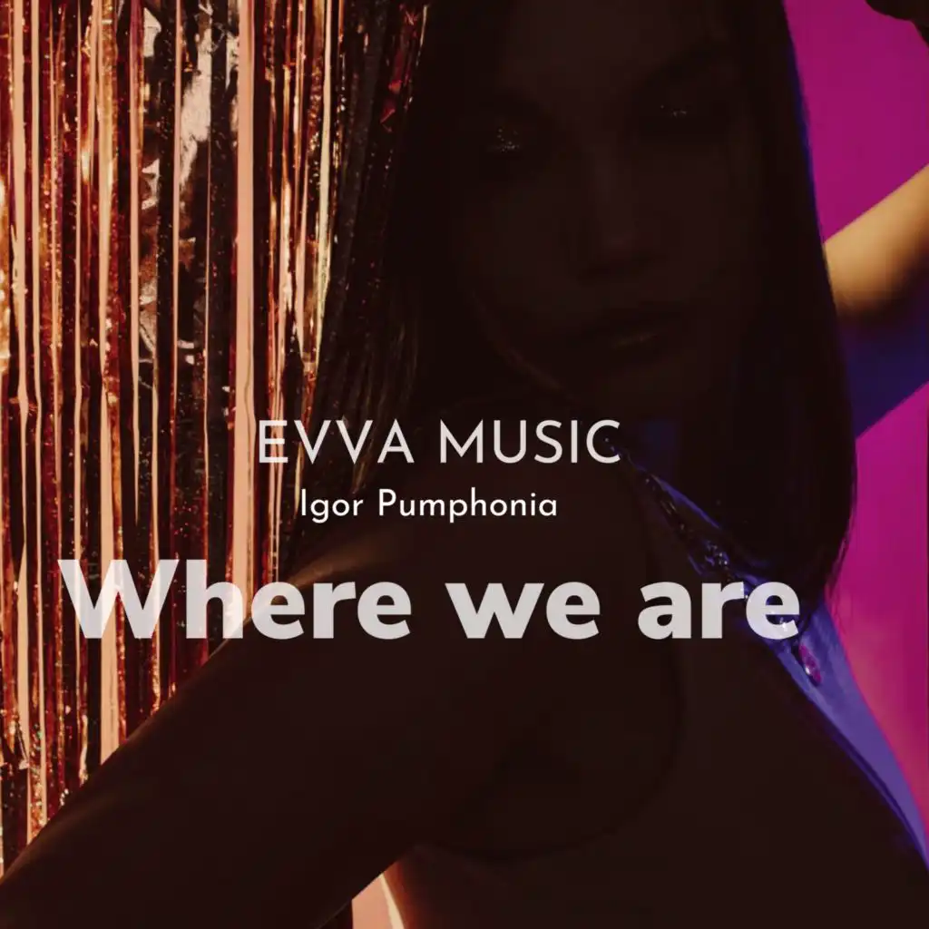 Where We Are (feat. Igor Pumphonia)