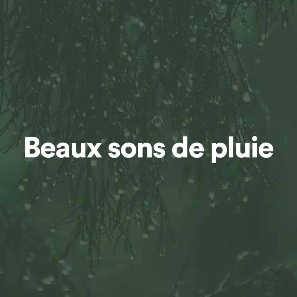 Bruits de pluie
