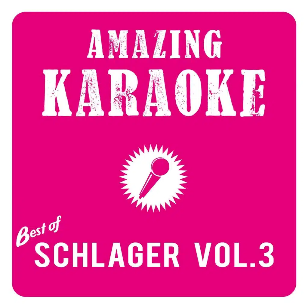 Der letzte Kunde (Karaoke Version) (Originally Performed By Frank Zander)