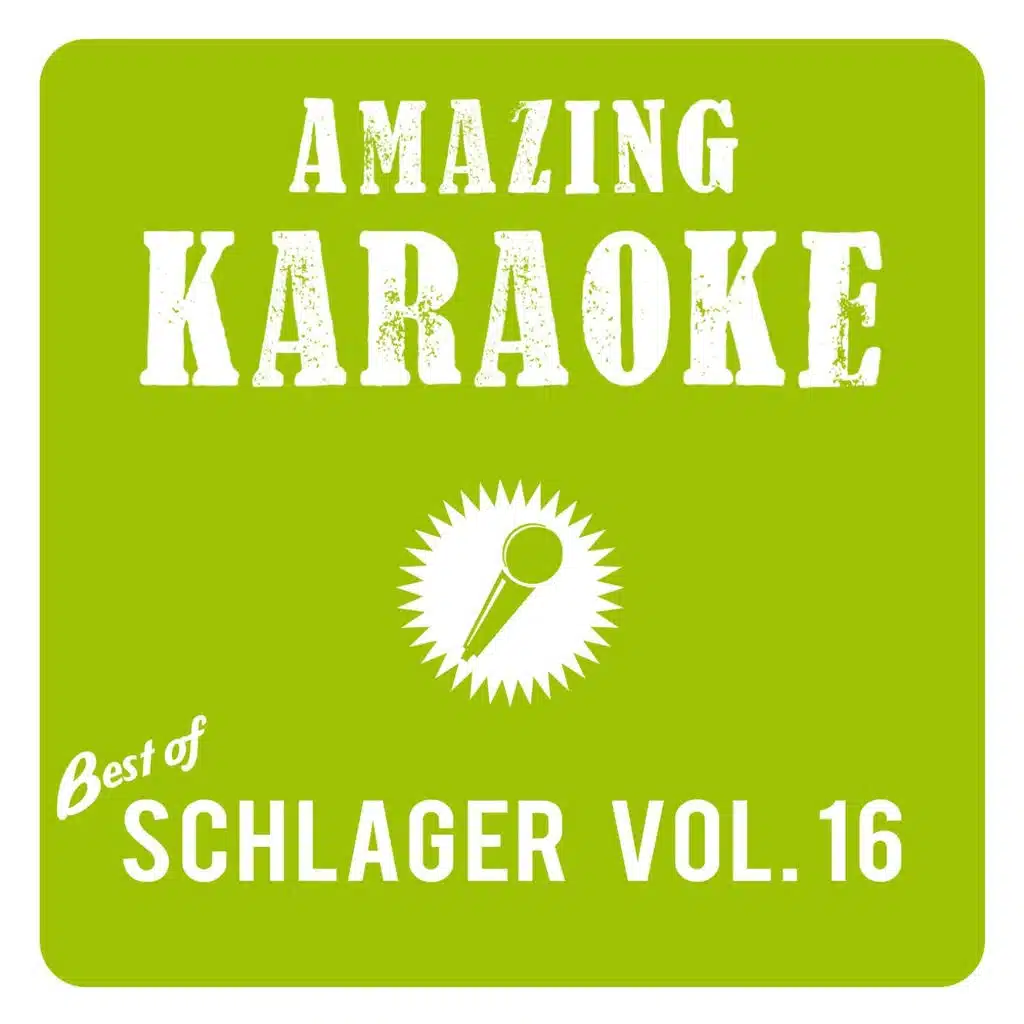Alles was ich brauche bist Du (Karaoke Version) (Originally Performed By Hoffmann & Hoffmann)