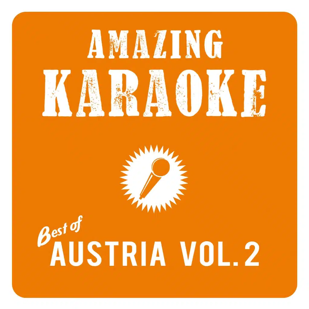 Rock Me heut' Nacht (Karaoke Version) (Originally Performed By Alpenrebellen)