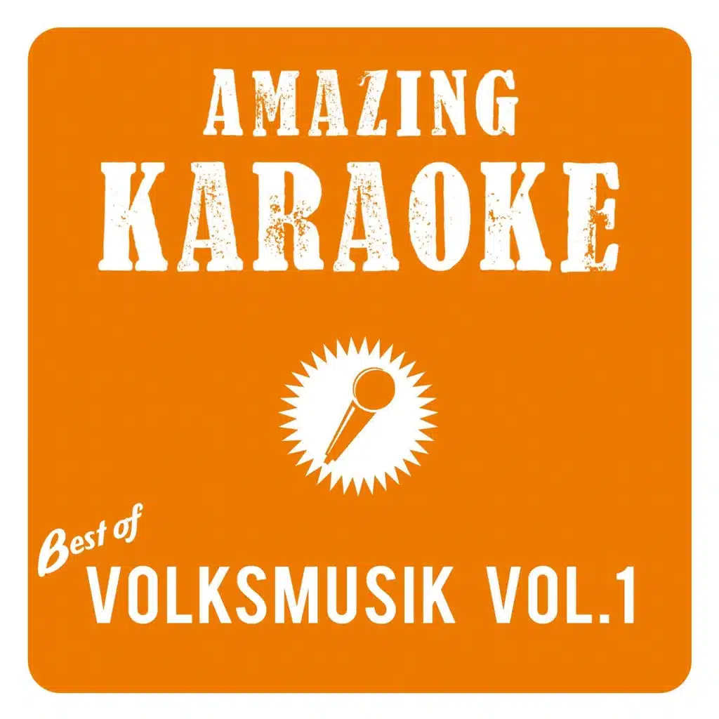 Zwei Kerle wie wir (Karaoke Version) (Originally Performed By Wildecker Herzbuben)