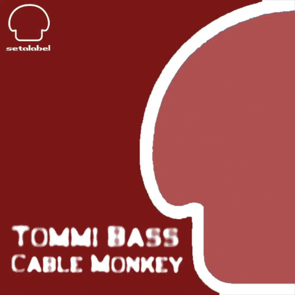 Tommi Bass