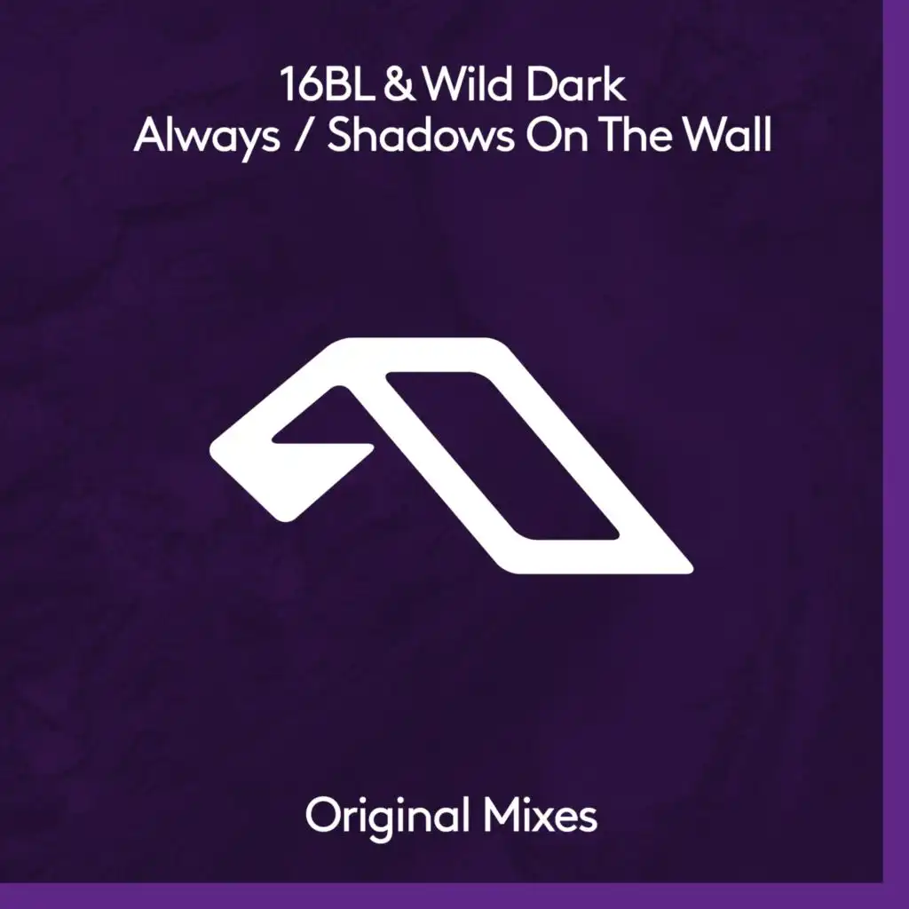 Shadows On The Wall (Wild Dark Extended Mix)