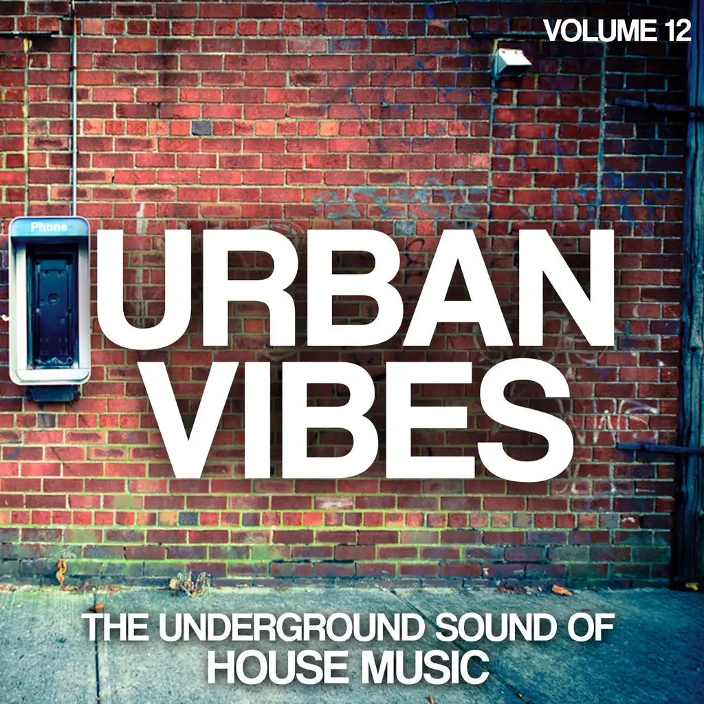 Urban Vibes: The Underground Sound of House Music, Vol. 12