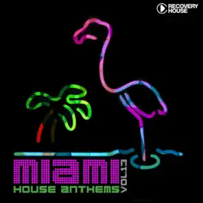 Miami House Anthems, Vol. 13