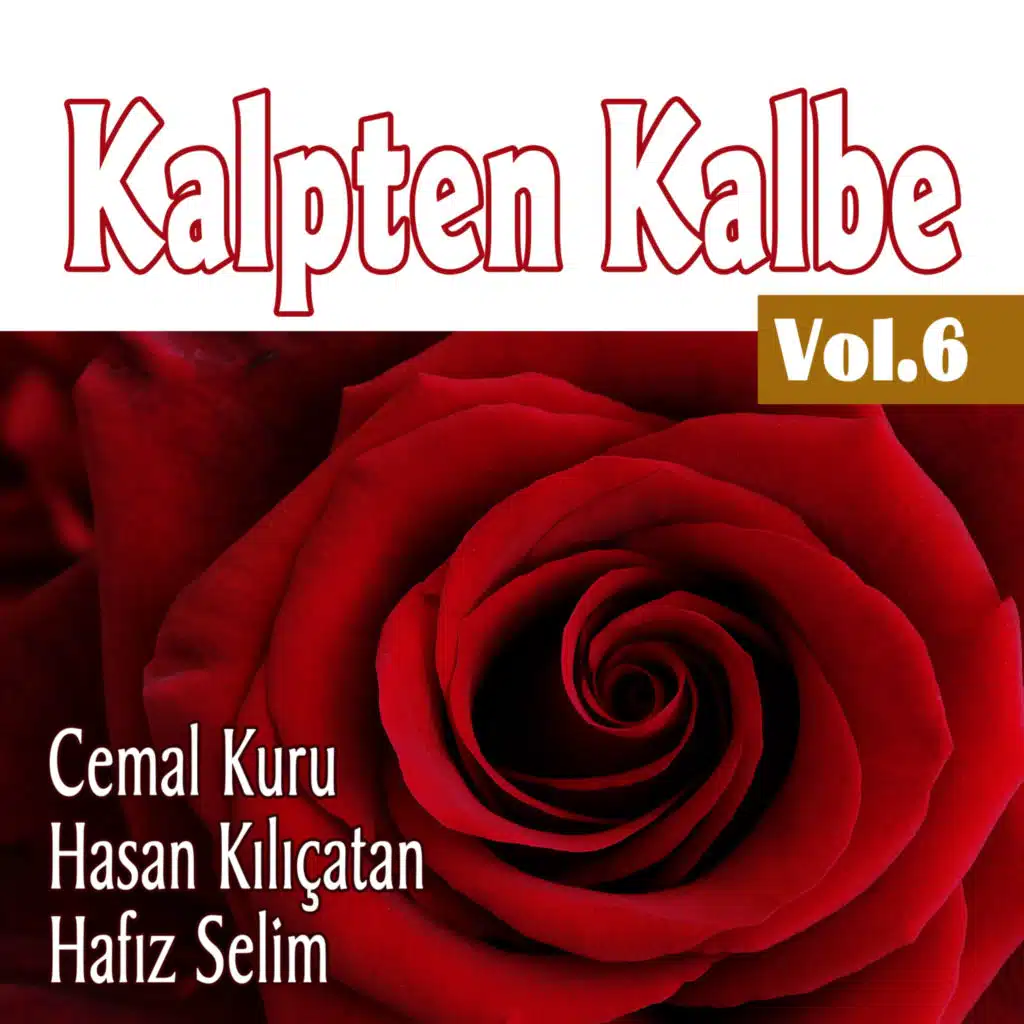 Seyreyleyip Yandım