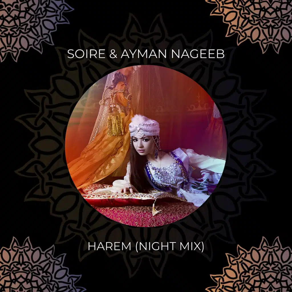 Ayman Nageeb, Soire