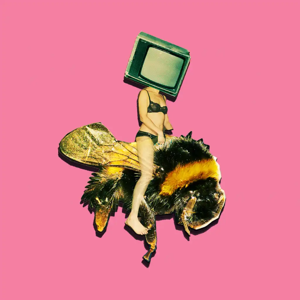 Pollinator