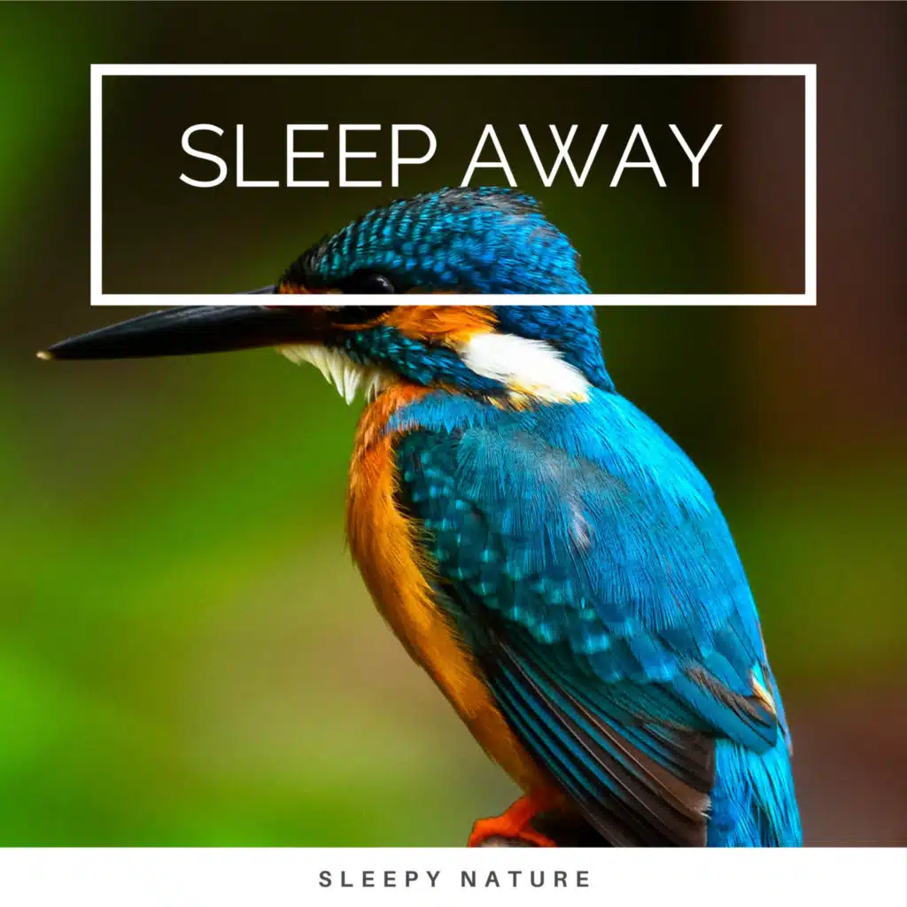 Pure Islands of Nature Noises for Deep Naps pt. 1 (feat. JBE Nature Sounds, Nature Sounds & Deszcz)