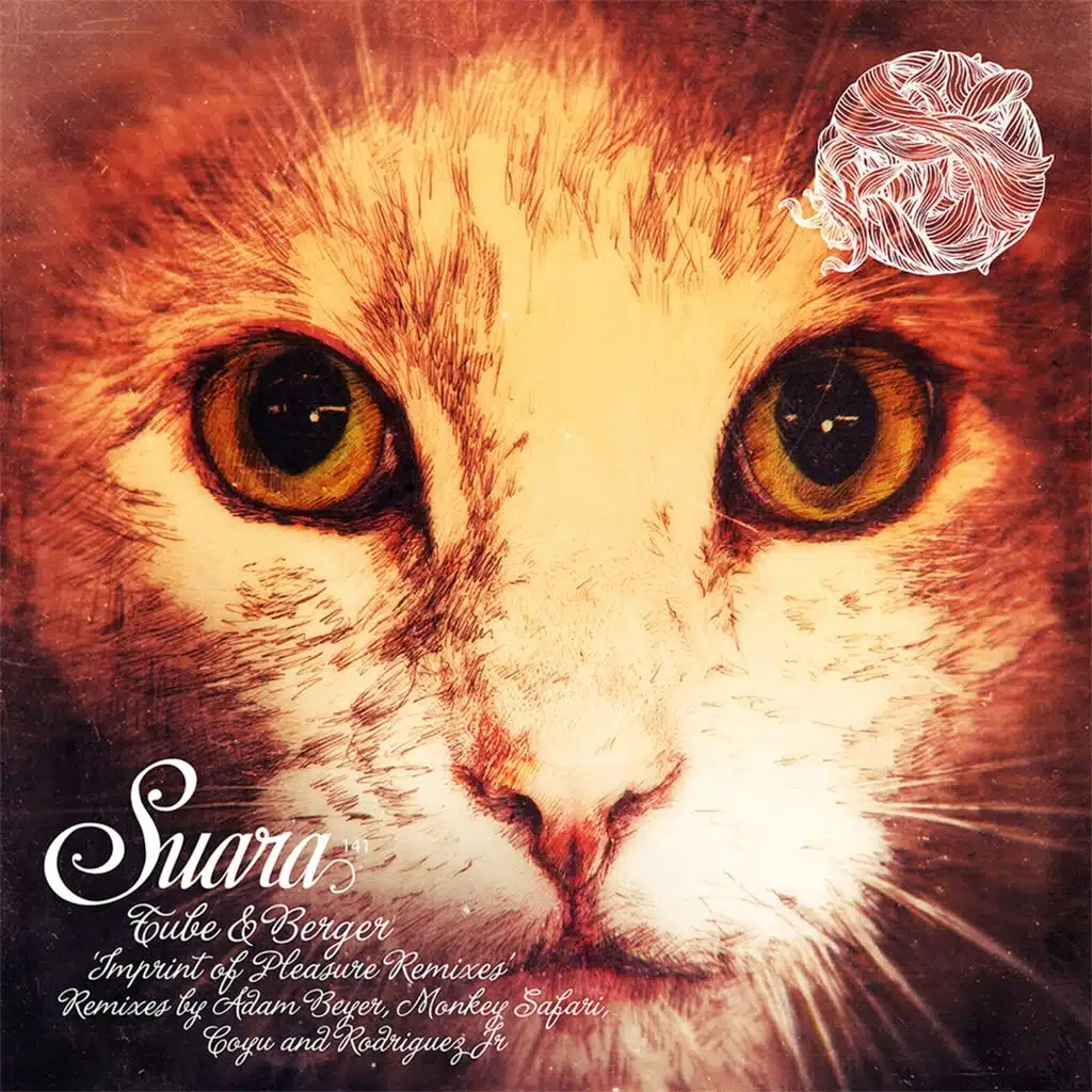 Imprint of Pleasure (Rodriguez Jr. Remix)