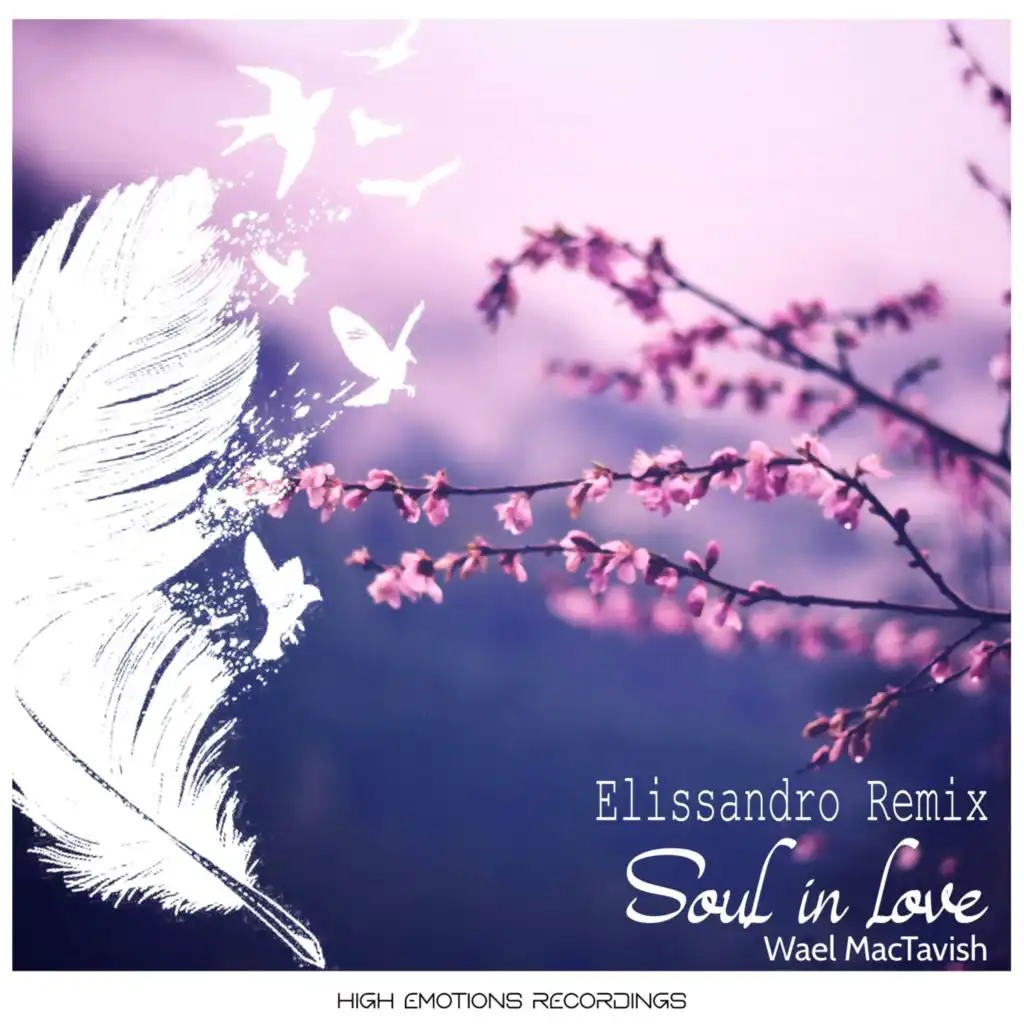 Soul in Love (Elissandro Remix)