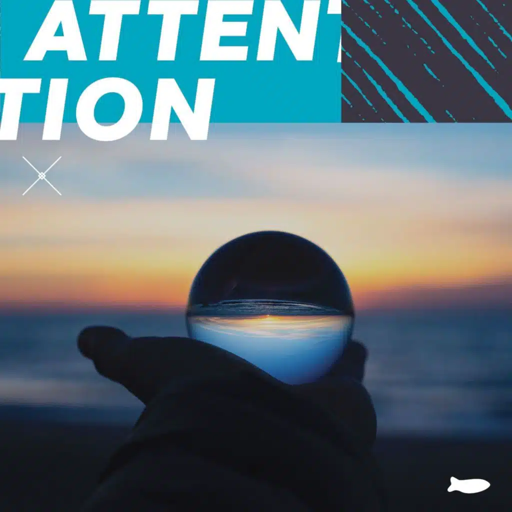 Audience Growth is the Future of Marketing w/James Carbary