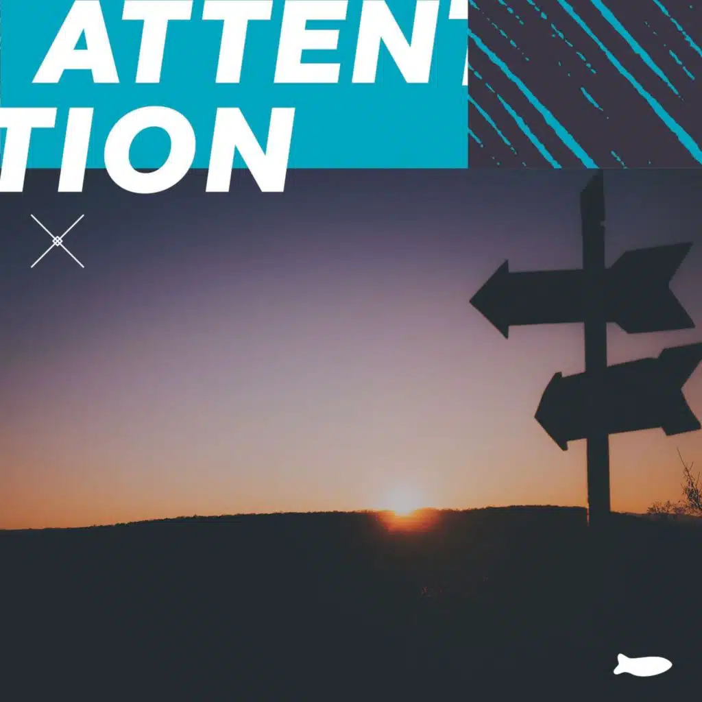 The Next Phase of Audience Growth