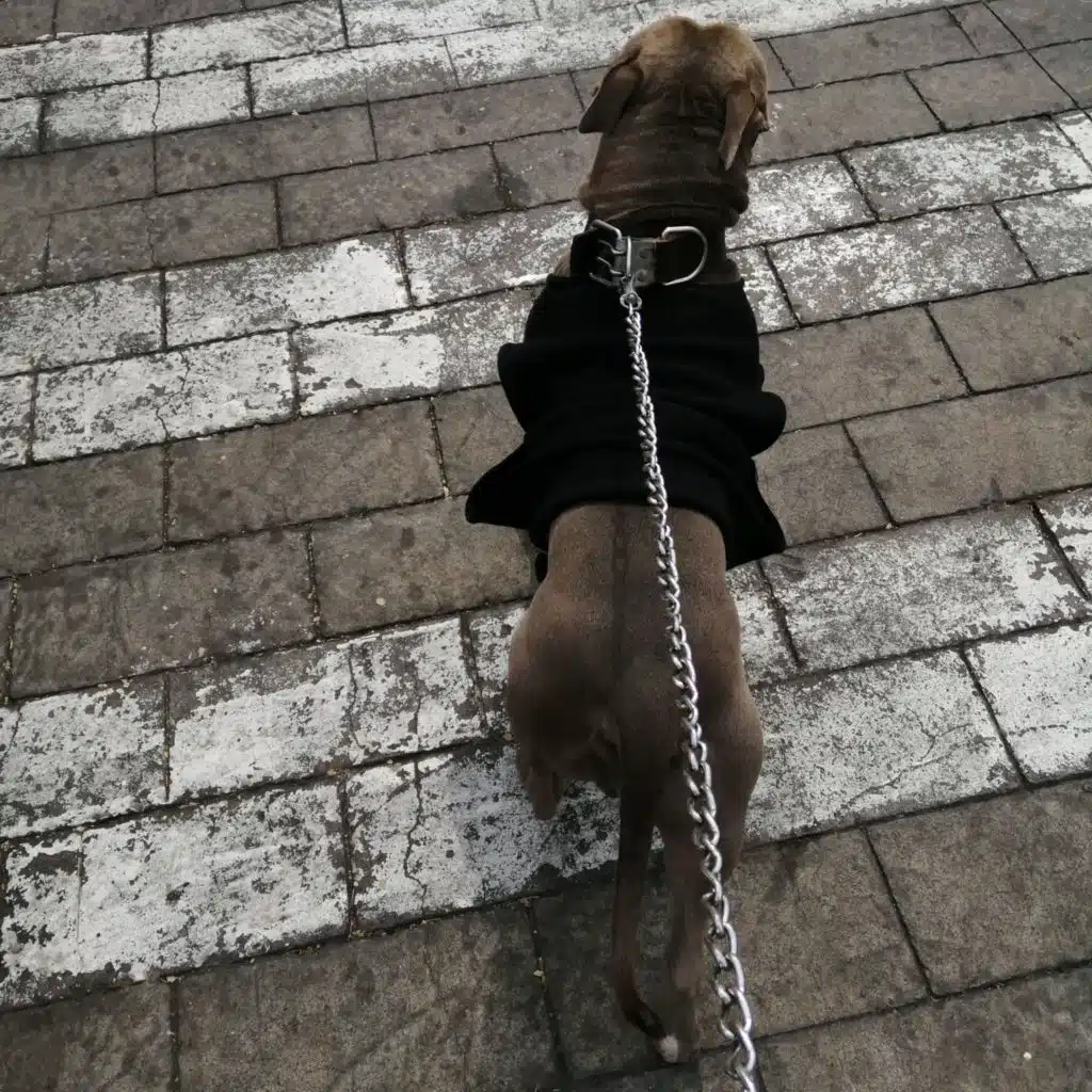 Heelflip (2022 Remasterizado) [feat. La Mafia Pac]