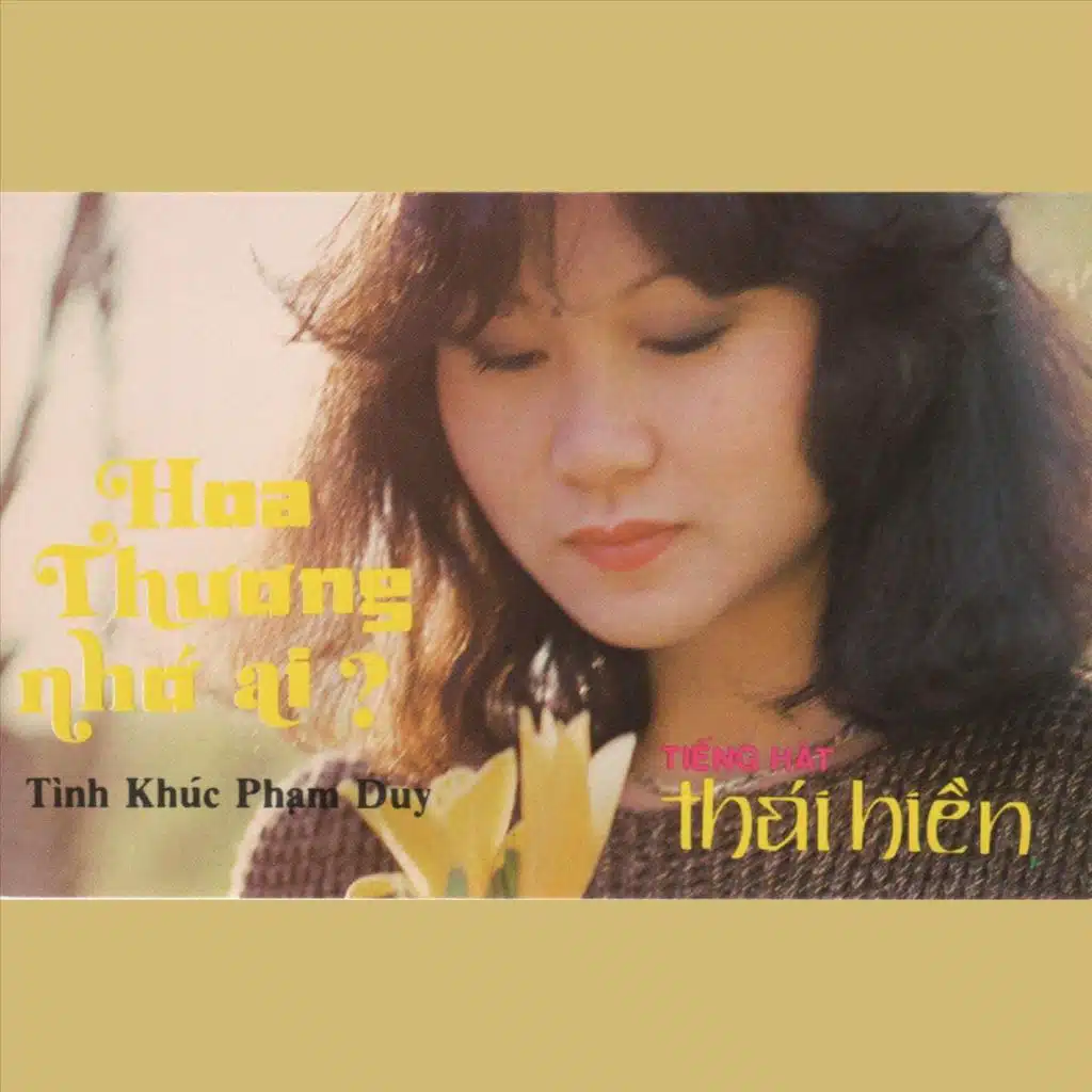 Tôi Đang Mơ Giấc Mộng Dài