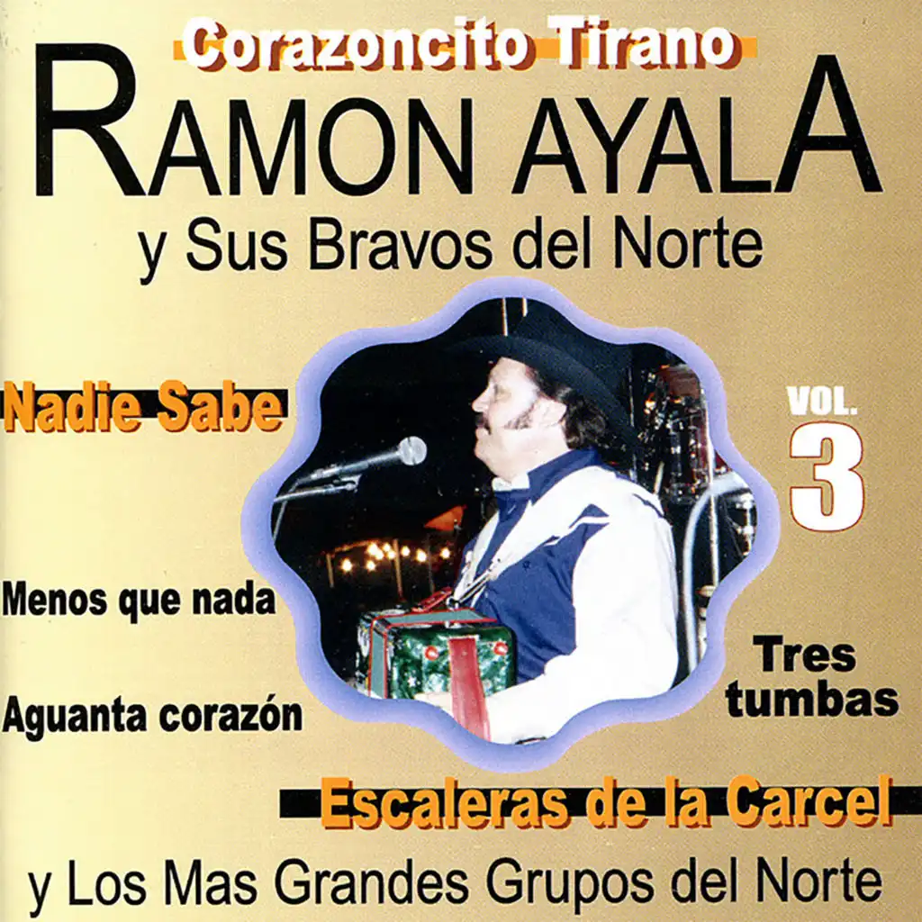 Ramón Ayala y Sus Bravos del Norte, Vol. 3