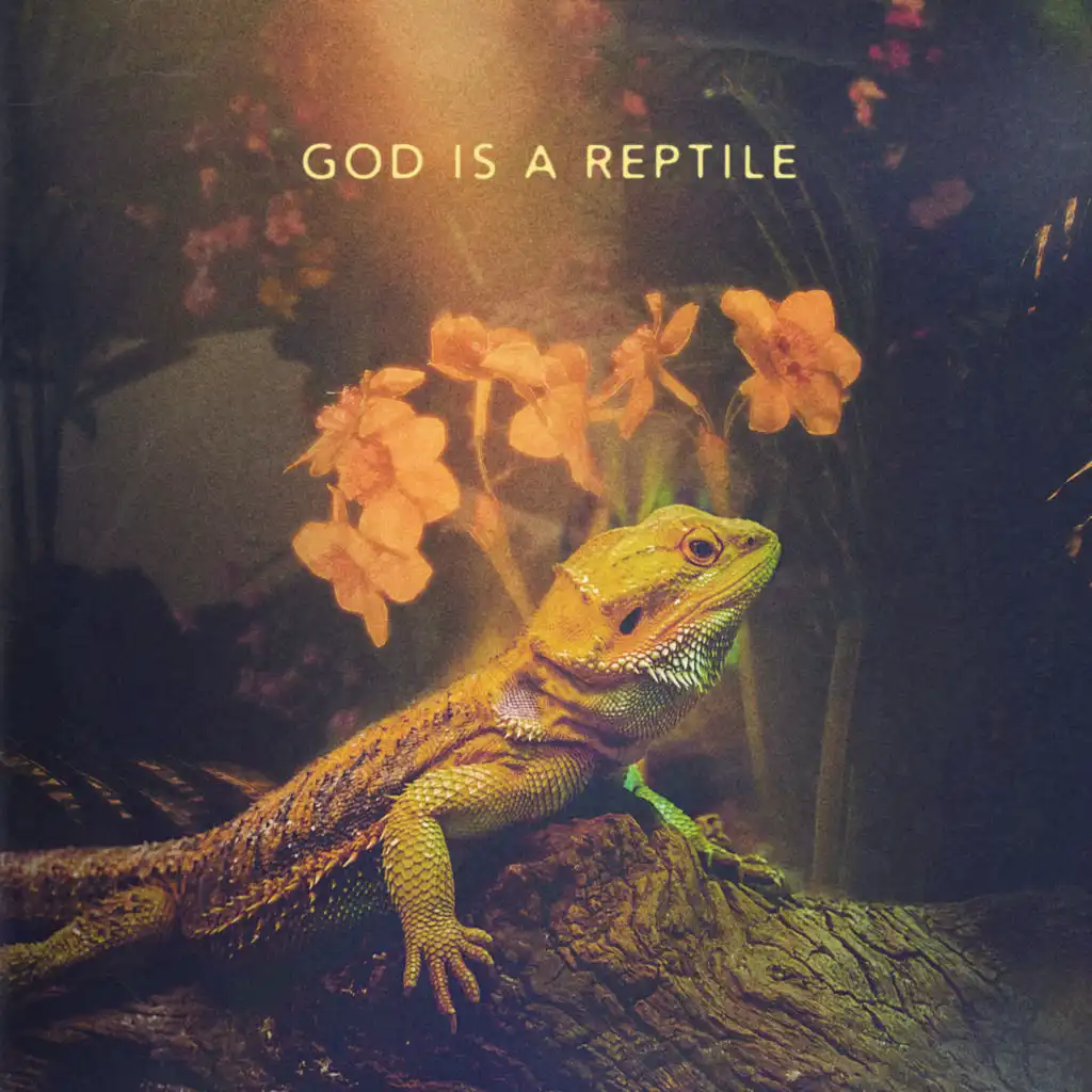 God Is A Reptile (Edit)