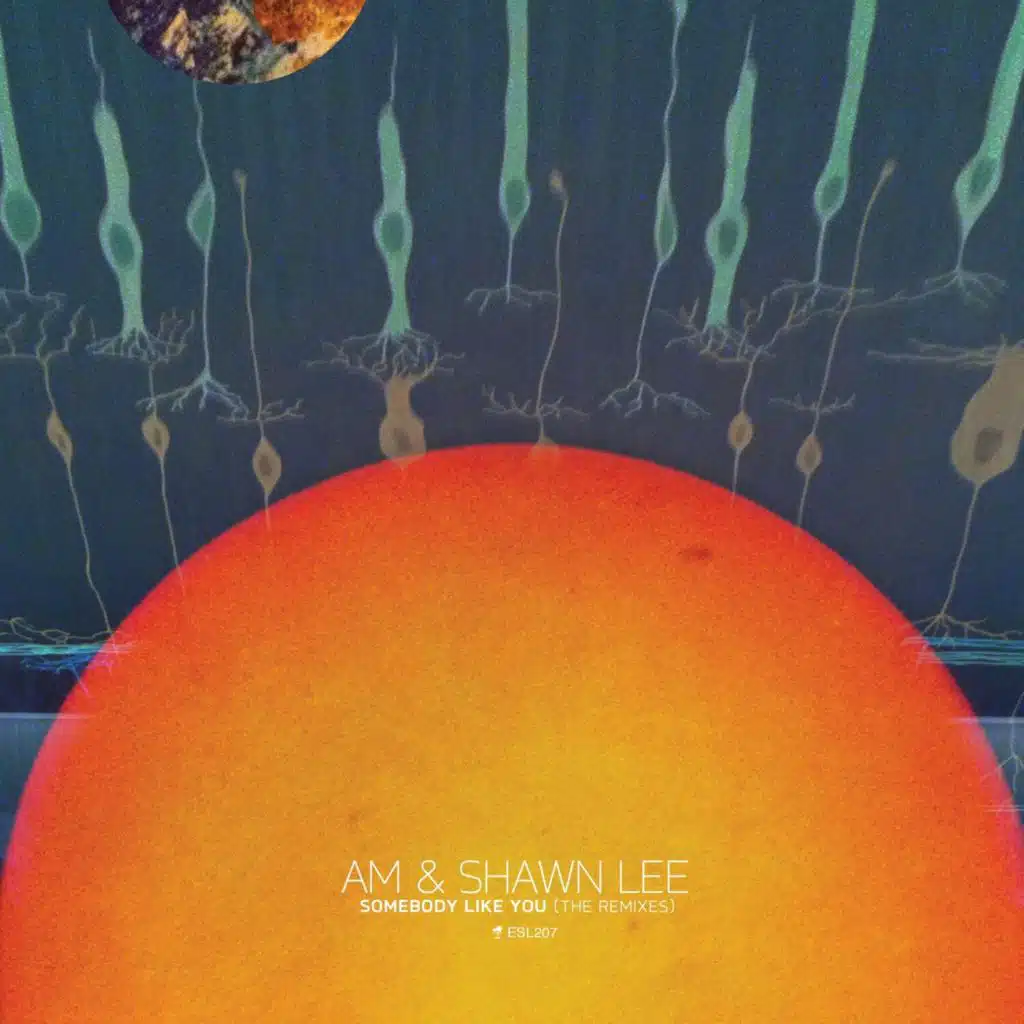 City Boy (The Kramford Look Remix)