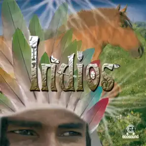 Indios (Ecosound musica indiana andina)