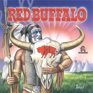 Red Buffalo (Ecosound musica indiana andina)