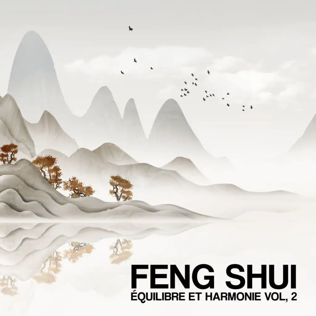 Feng Shui (Équilibre et harmonie)