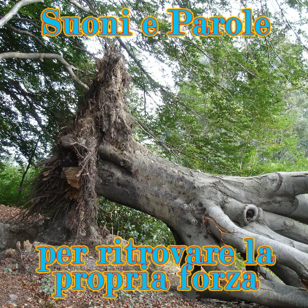 Fluire nella vitalità