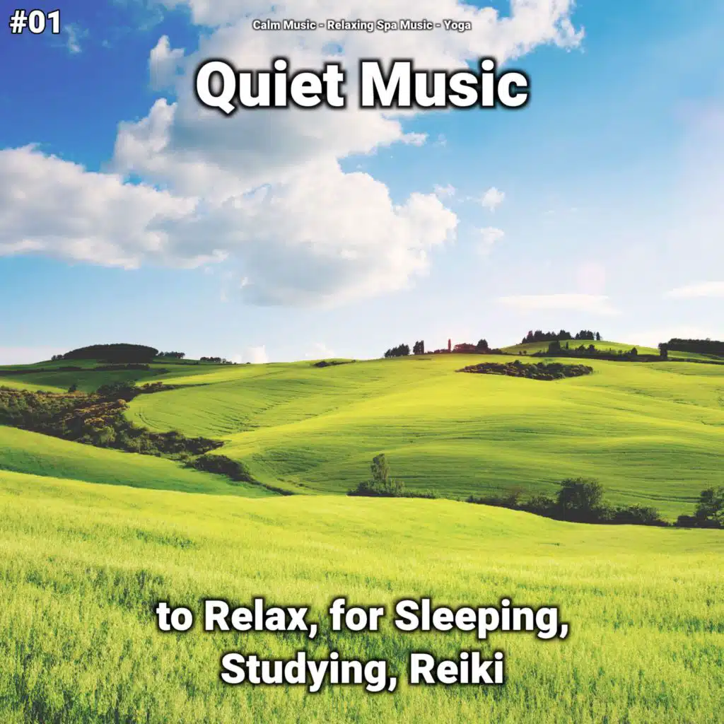 Calm Relaxing Music