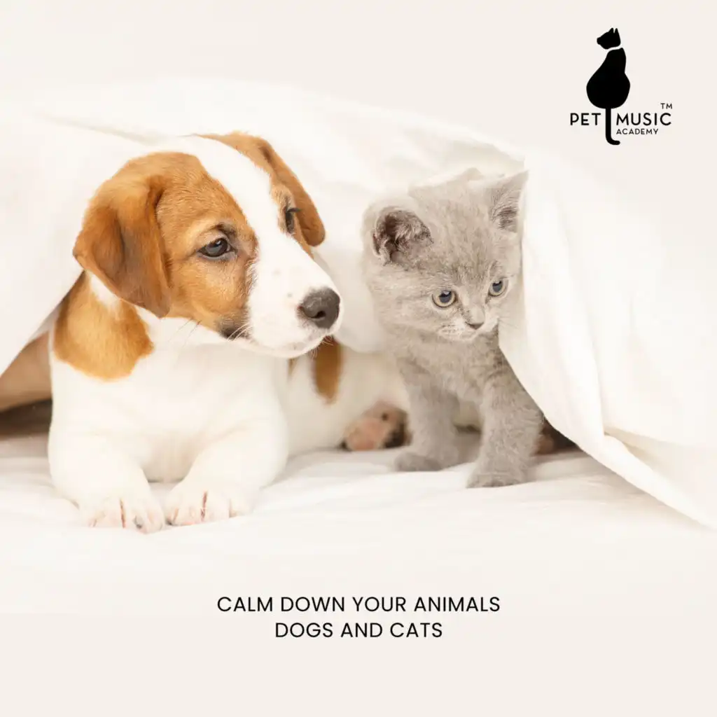 Calm Down Your Animals: Relaxing Music for Dogs and Cats, Soothing Sounds for Pets, Deep Sleep for Dog and Cat