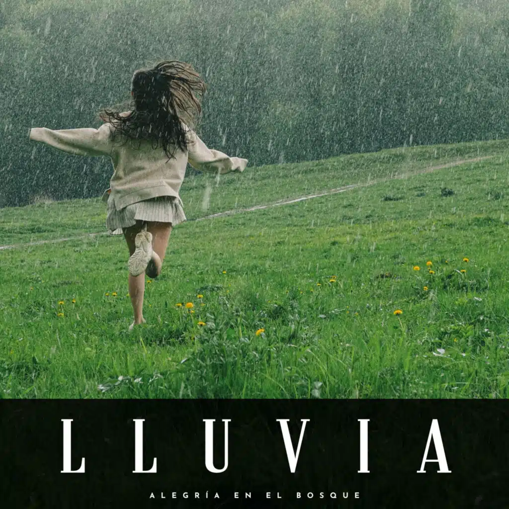 Lluvia: Alegría En El Bosque