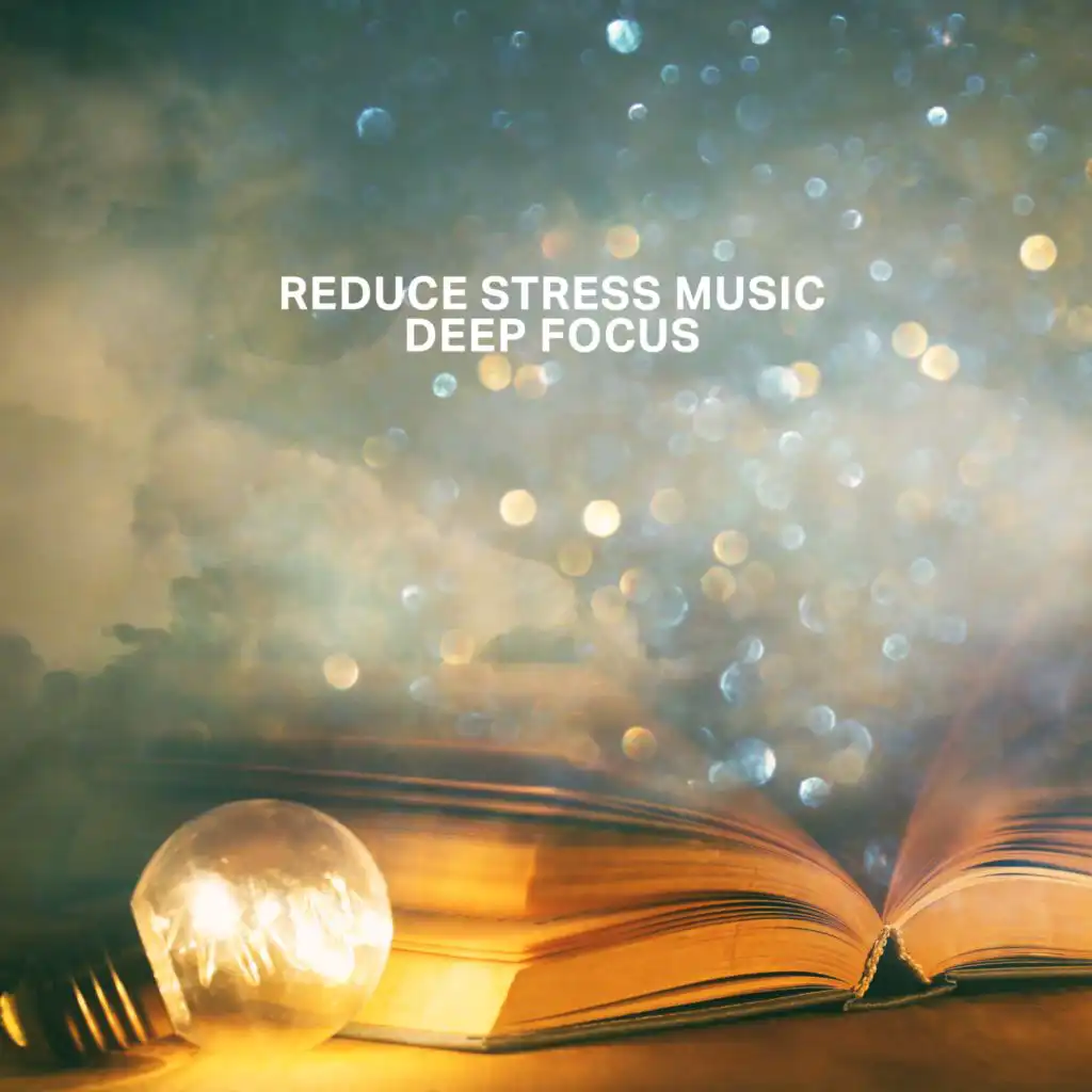 Reduce Stress Music (Deep Focus in Library, Study Motivation with Relaxation and Meditation)