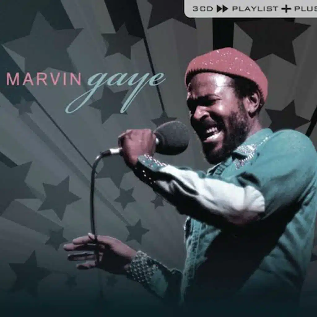 I Heard It Through The Grapevine - Single Version