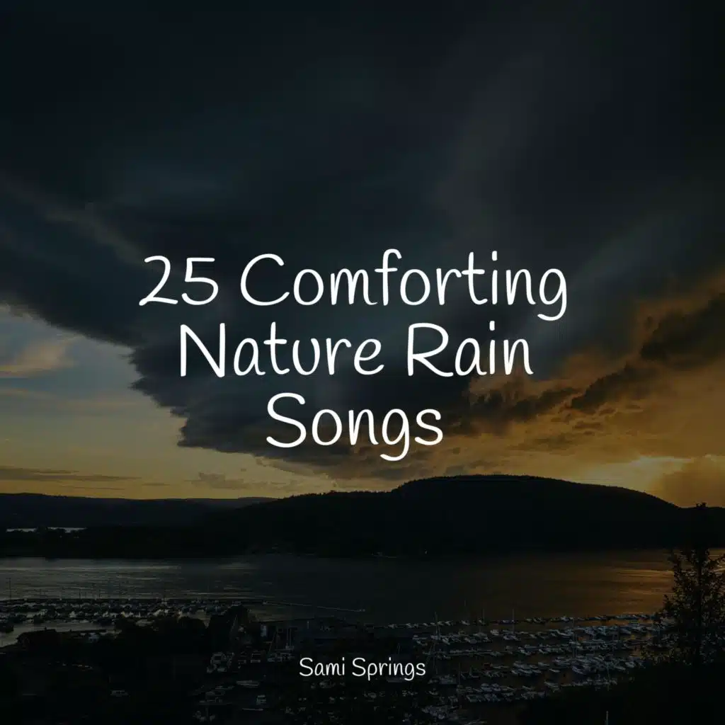 25 Ultimate Relaxation Rain Sounds