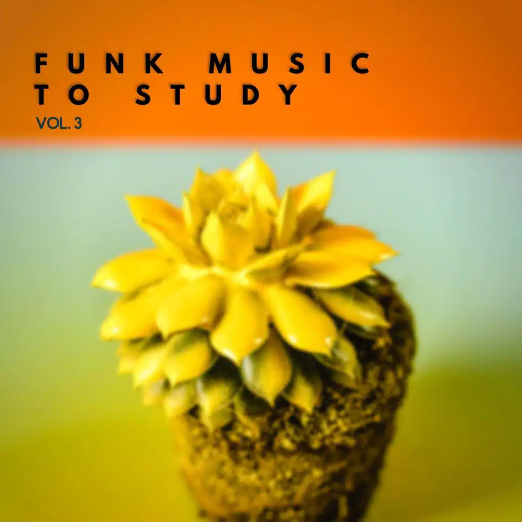 R&B Twister, Funk Music & Study Funk