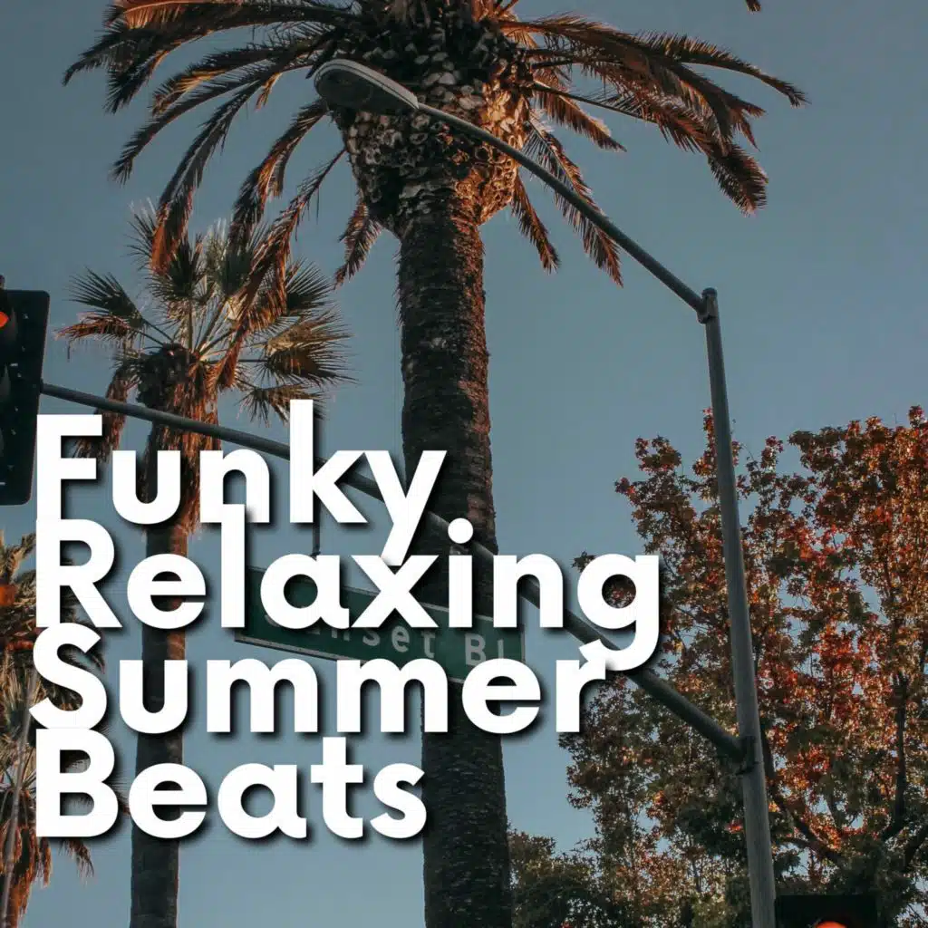 Funk Music, Soul Music Channel & Instrumental Funk