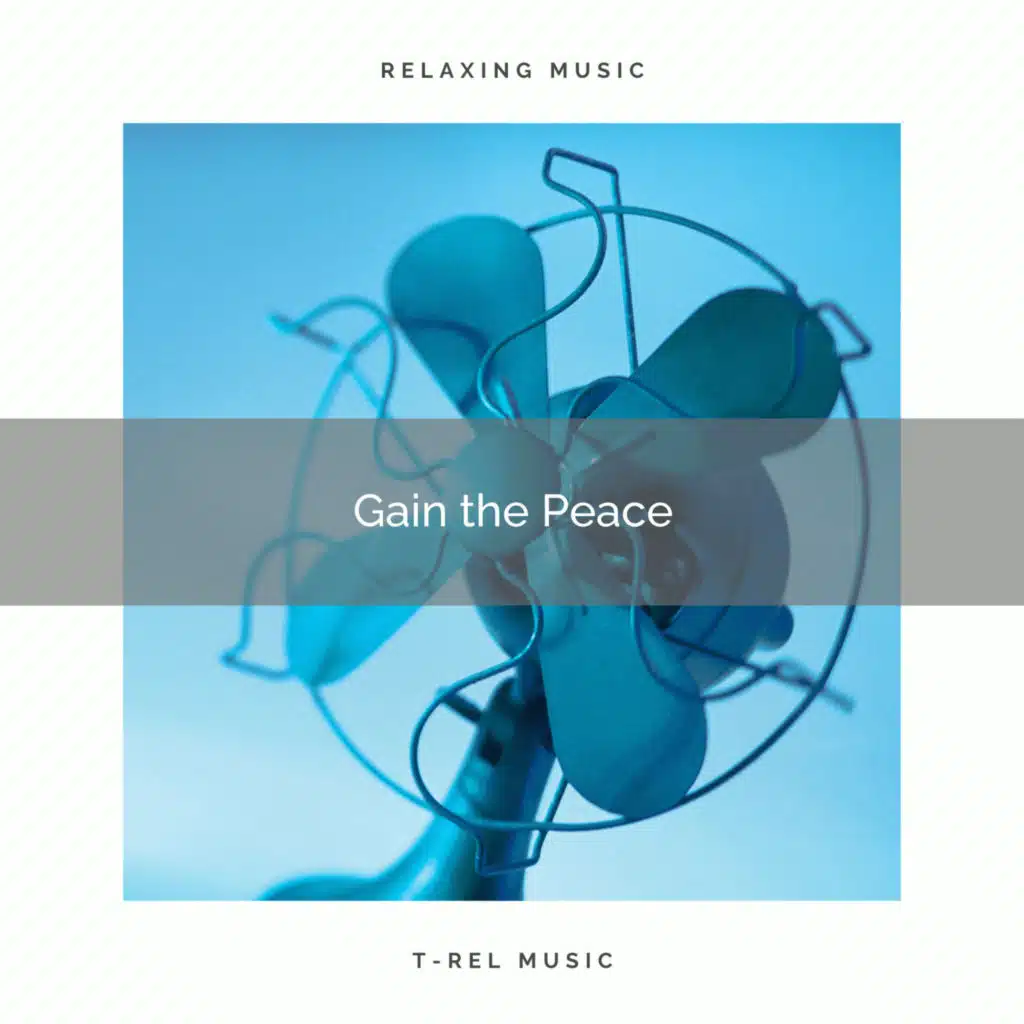 Gain the Peace with Gentle Looped Noise and Ride On