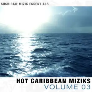 Hot Caribbean Miziks 03 (Sushiraw)