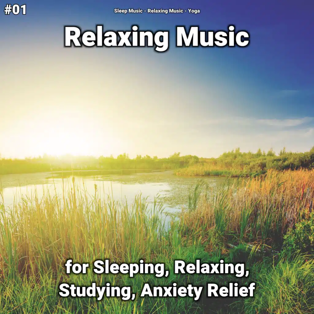 Nice Relaxation Music