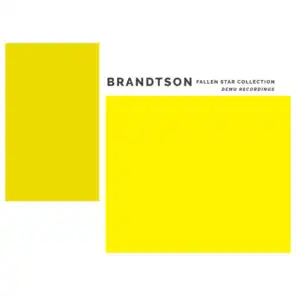 Brandtson