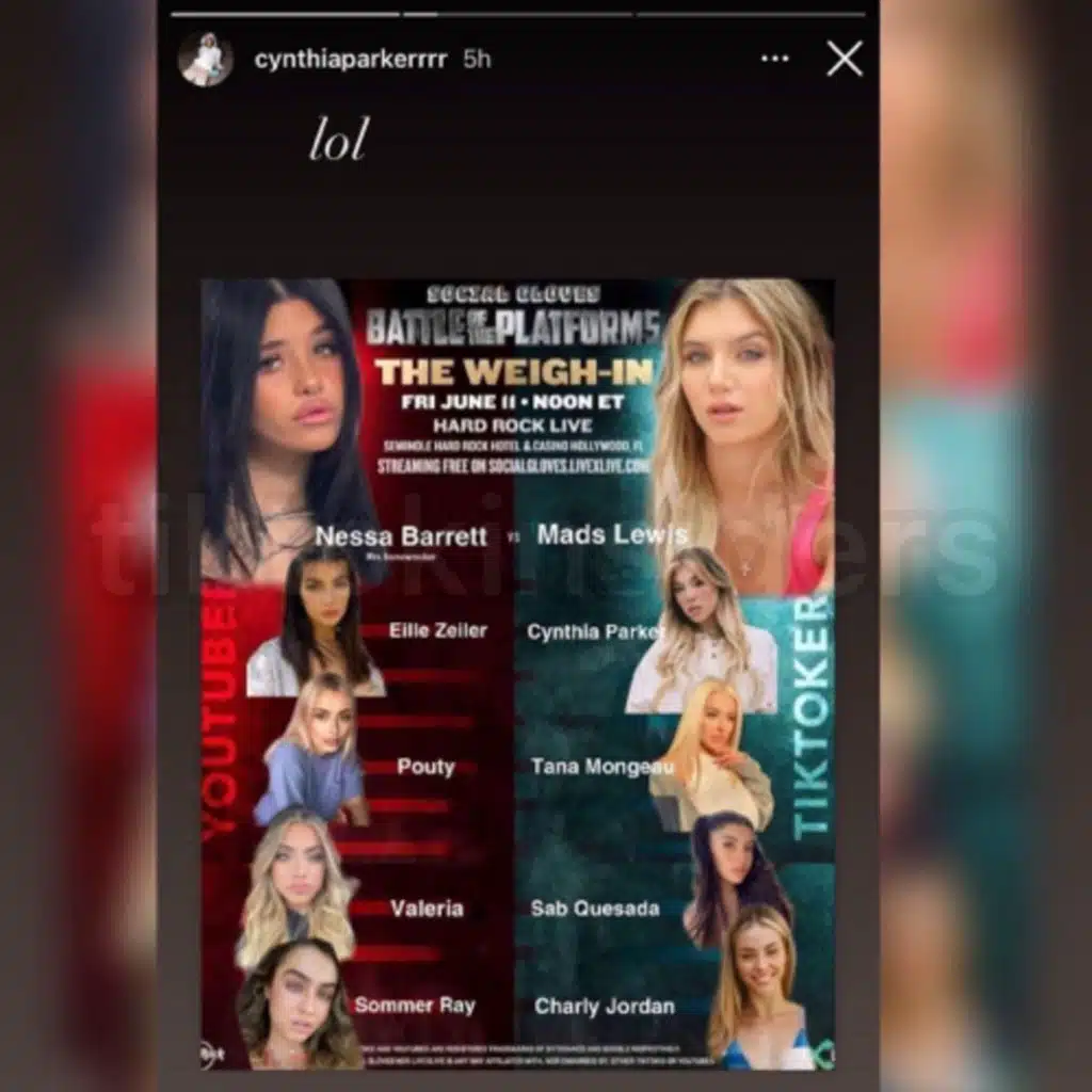 Tiktok Girls Boxing Match? 👀🥊 Mads Lewis Wants to Box Nessa Barrett + Mads Lewis New Beau 