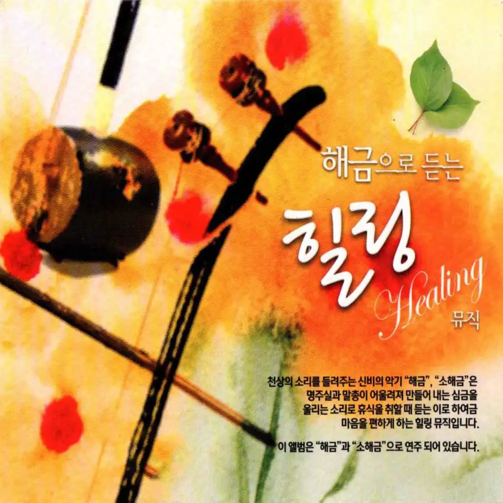 Listening haegeum healing music (해금으로듣는힐링뮤직)