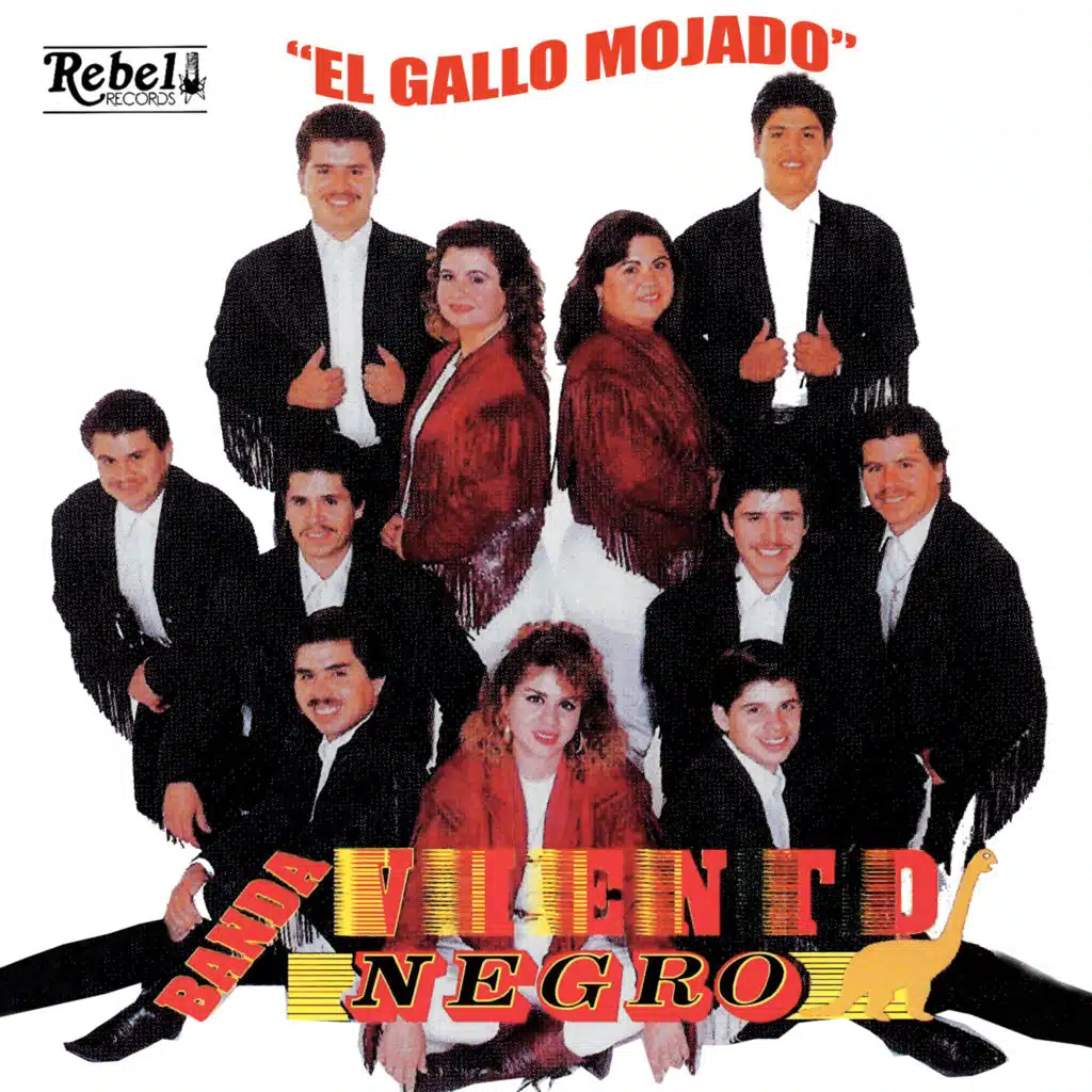 El Gallo Mojado