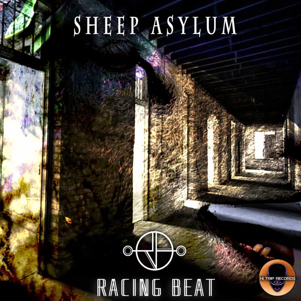 Sheep Asylum