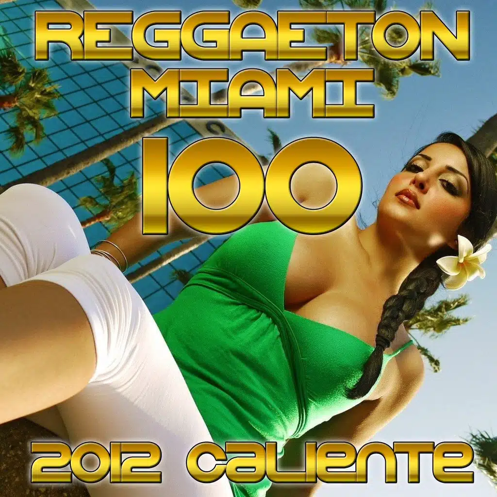 Gasolina (Remix 2011)