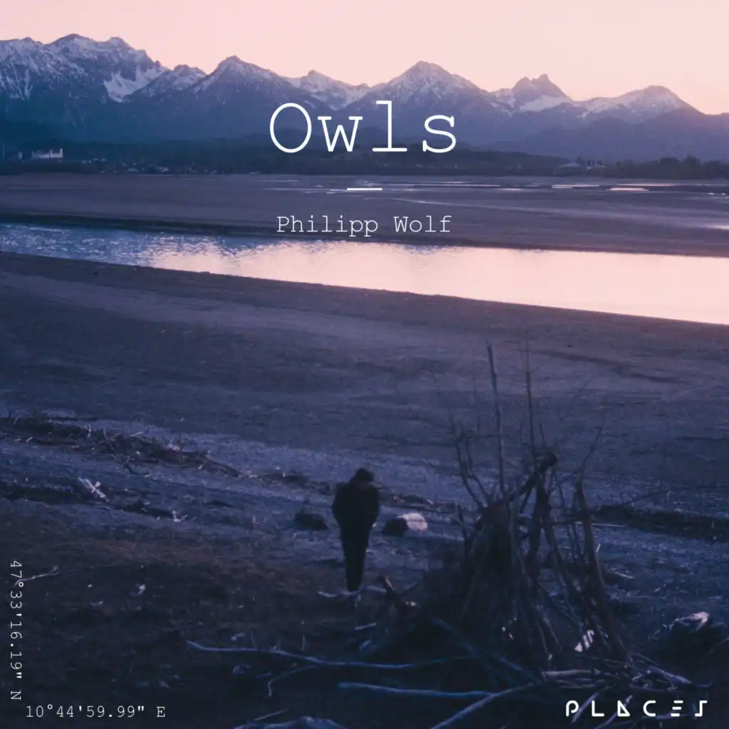 Owls (Edit)