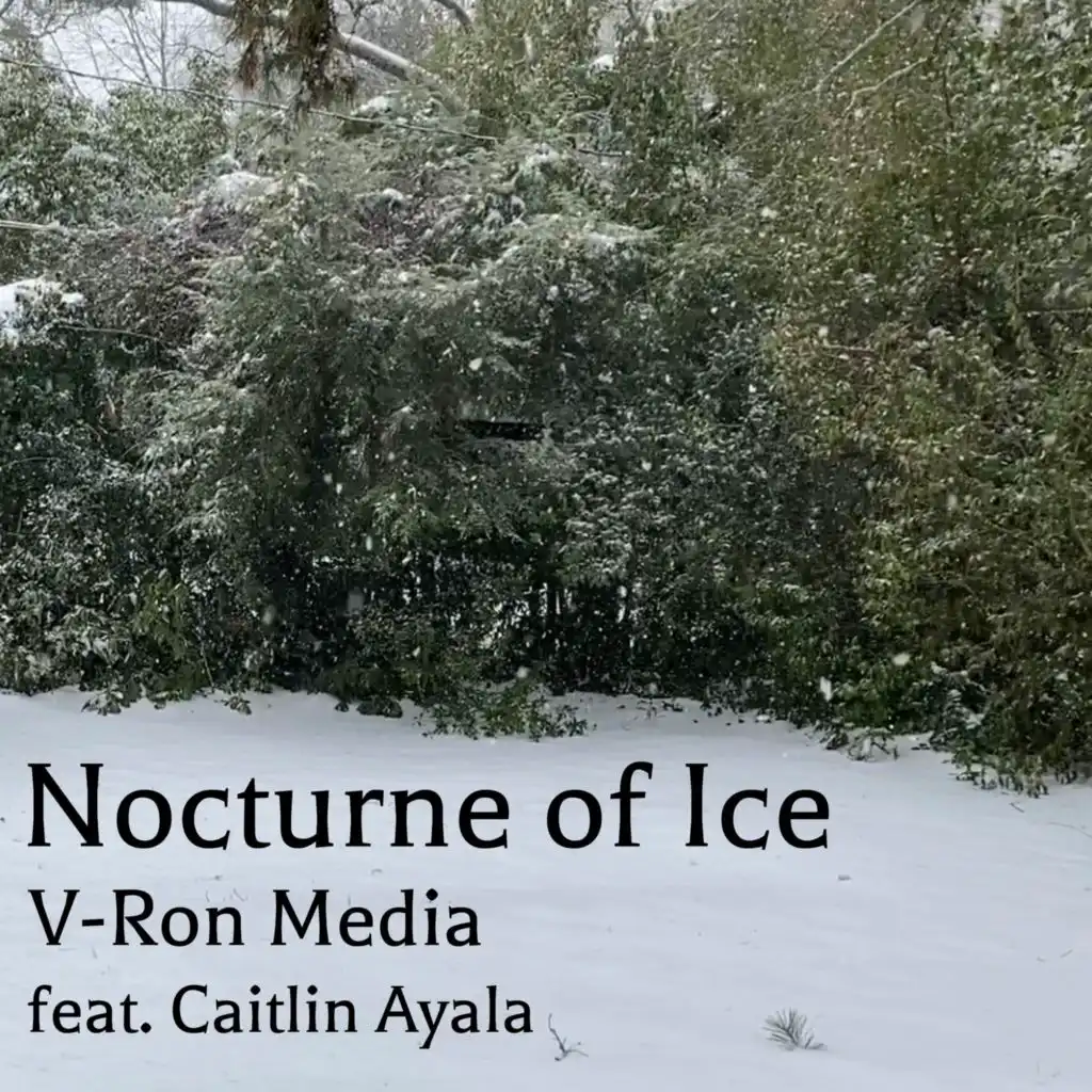 Nocturne of Ice (From "Stardew Valley") [feat. Caitlin Ayala] (Cover Version)