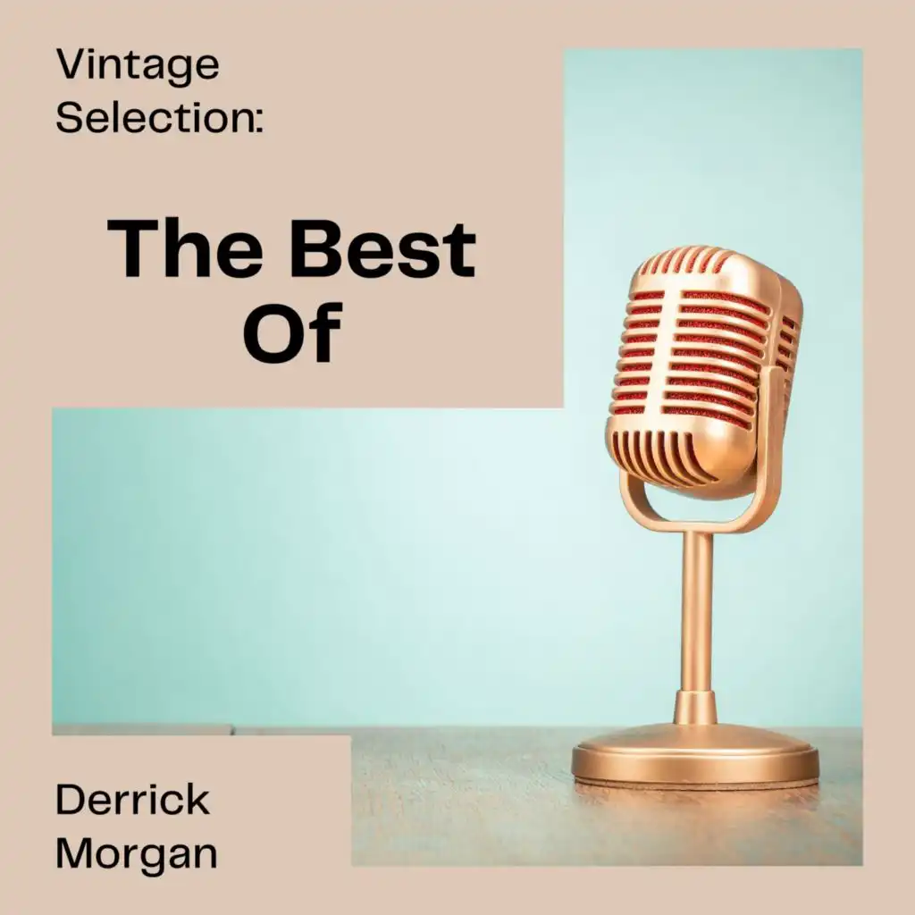 Vintage Selection: The Best Of (2021 Remastered)